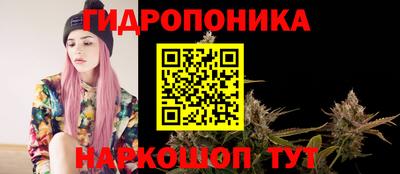 гидропоника Чебоксары