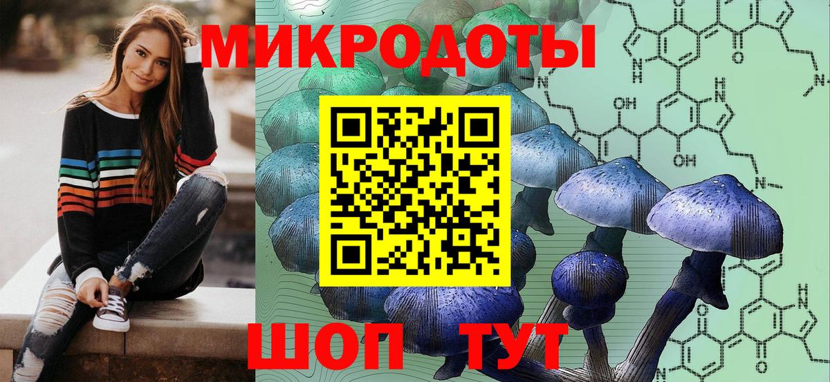 Галлюциногенные грибы Psilocybe  Вход с VPN  Архангельск 